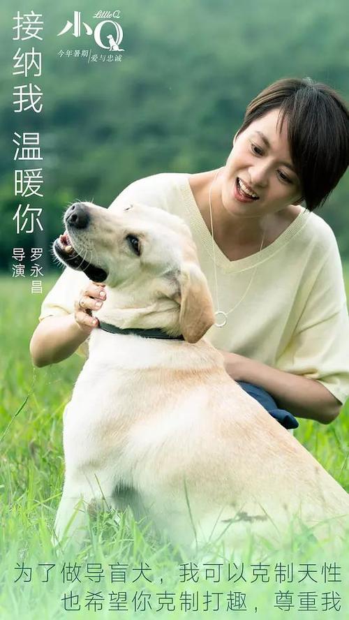 托伦斯大学学历学位认证